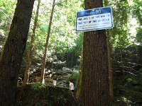IMG 5735