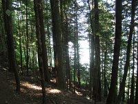 IMG 5739