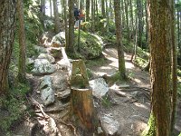 IMG 5743