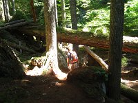 IMG 5747