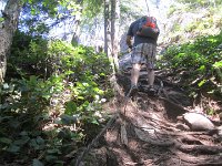 IMG 5763