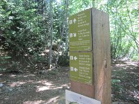 IMG 5775