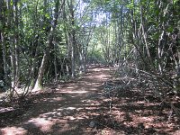 IMG 5777