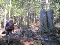 IMG 5784
