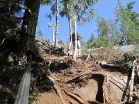 IMG 5787