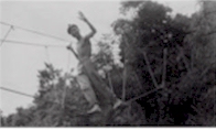 monkey bridge