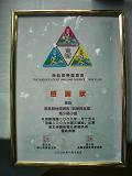 港島二○○六大潭三塘跑