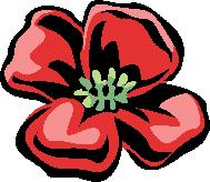 Poppy